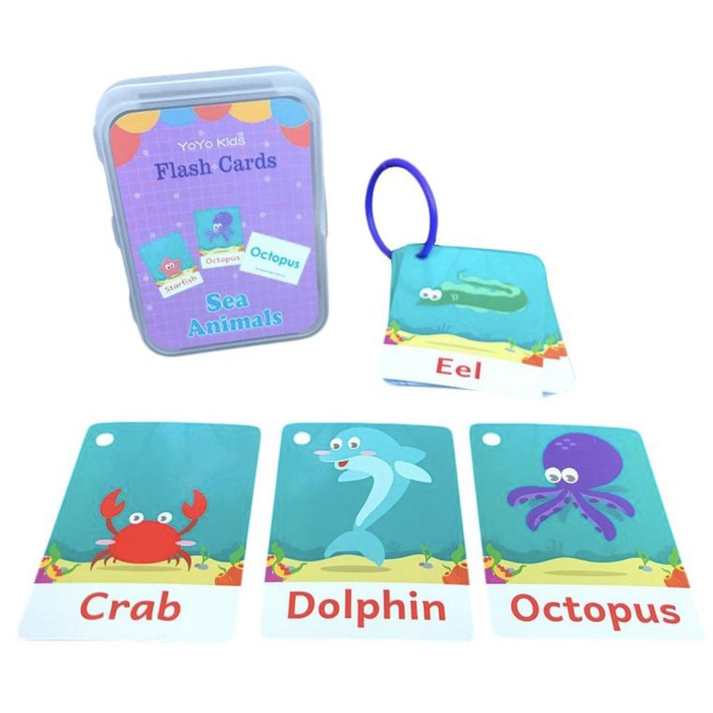 Early Learning Flash Card Kad Animal Shape Colour Body Number Alphabet Fruit Weather Budak Kids Education Card - Boo & Bub