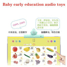 Children Point To Read English Chinese Audio Book | Early Education Baby Educational Toys Point Reading Books - Boo & Bub