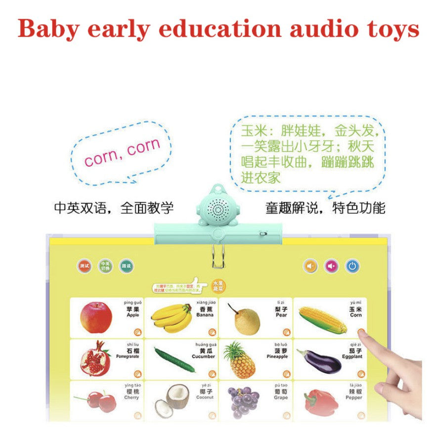 Children Point To Read English Chinese Audio Book | Early Education Baby Educational Toys Point Reading Books - Boo & Bub