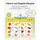 Children Point To Read English Chinese Audio Book | Early Education Baby Educational Toys Point Reading Books - Boo & Bub