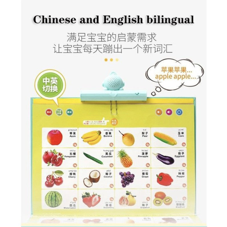 Children Point To Read English Chinese Audio Book | Early Education Baby Educational Toys Point Reading Books - Boo & Bub