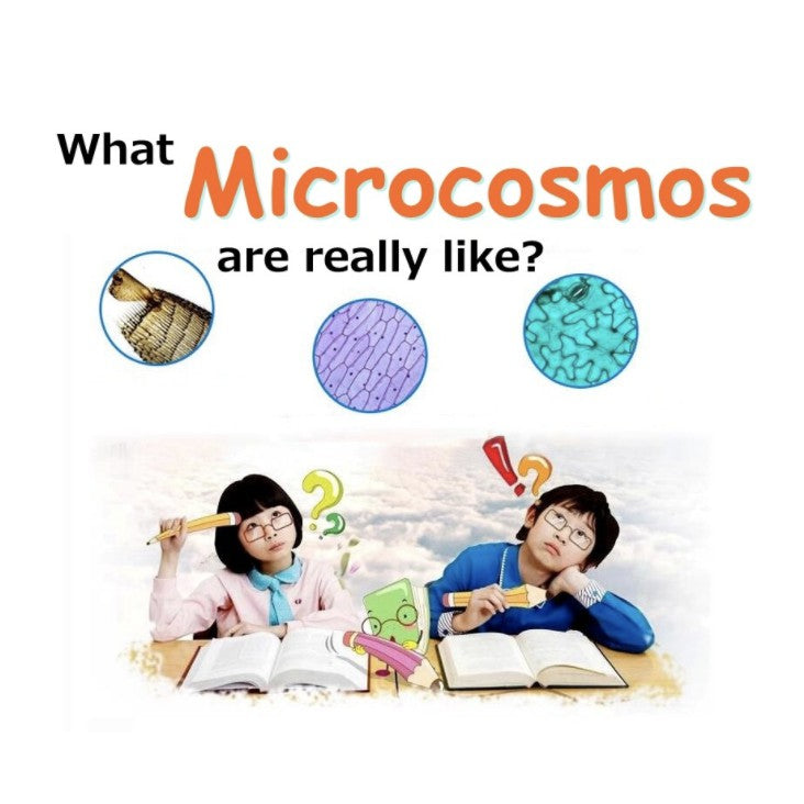 Kids Microscope Kit Lab LED 100X-400X-1200X | Home School Educational Toy Gift Science Biological for Children - Boo & Bub